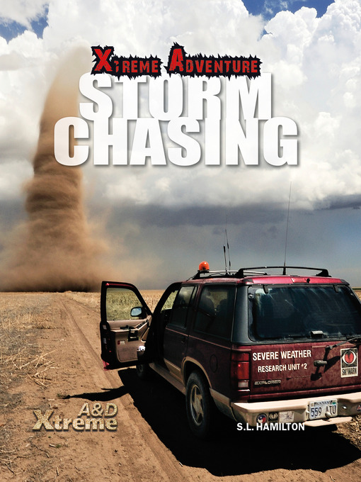 Title details for Storm Chasing by S. L. Hamilton - Available